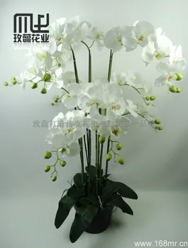 Contoh Soal Dan Contoh Pidato Lengkap Gambar Rangkaian Bunga Anggrek Plastik