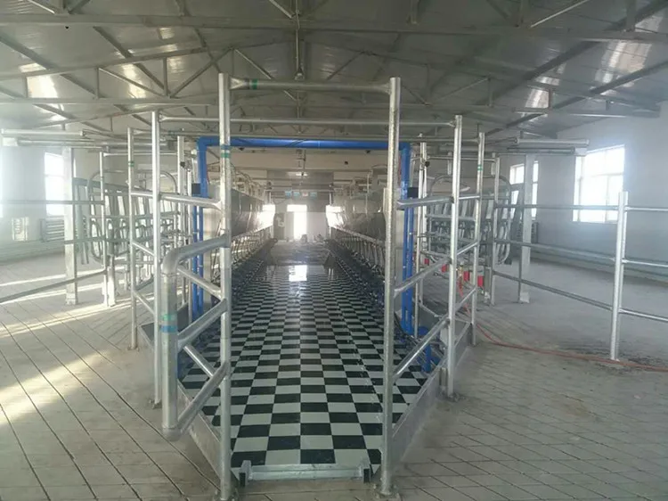 toy rotary milking parlour