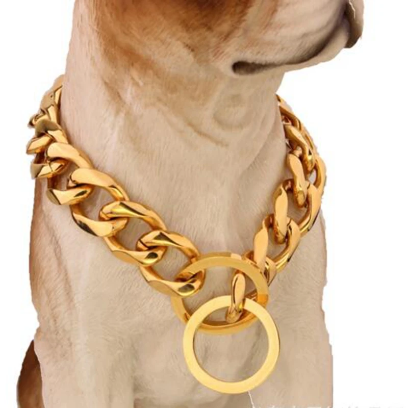 chain link dog collar