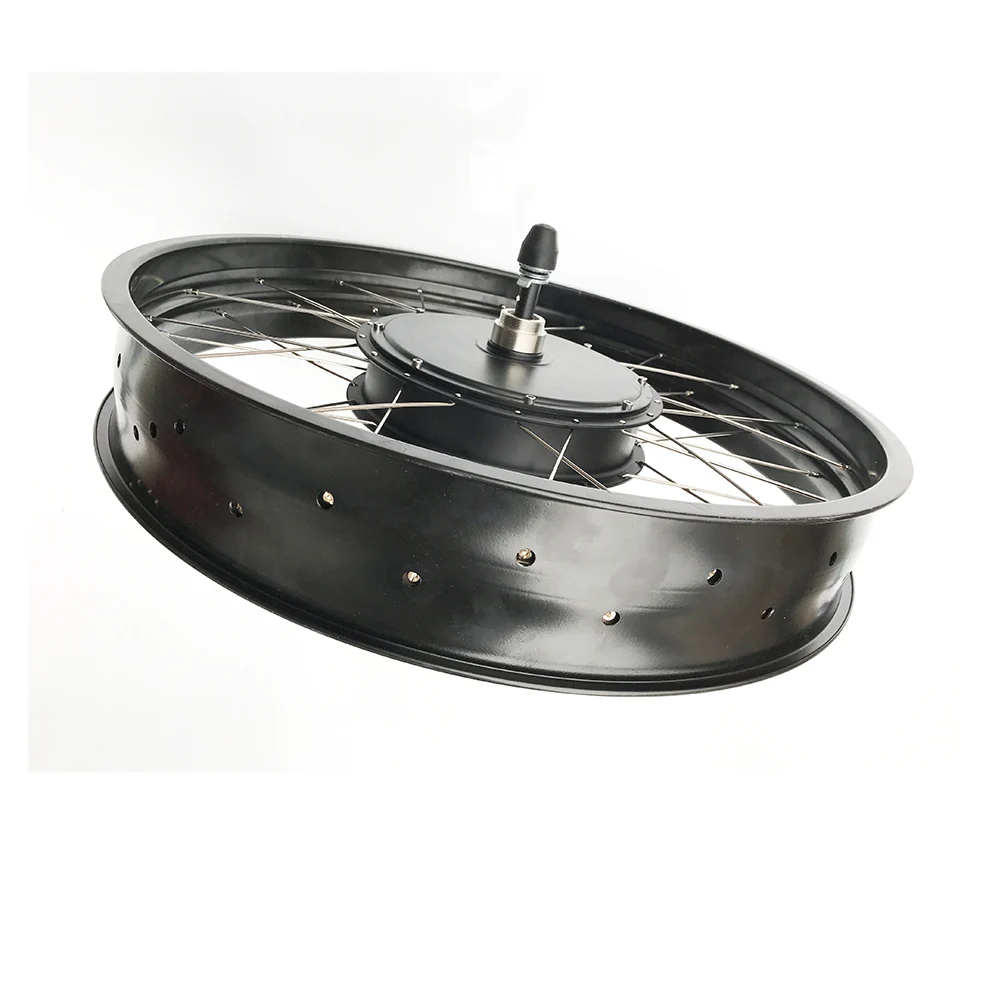 1000w electric bike kit