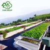 Agriculture Aquaponics Greenhouse With Complete System For Fish Growing