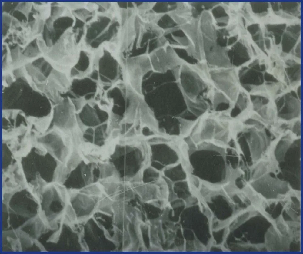 
Medical implant device dura substitute Type I collagen DuraFrame brain repair no suture 