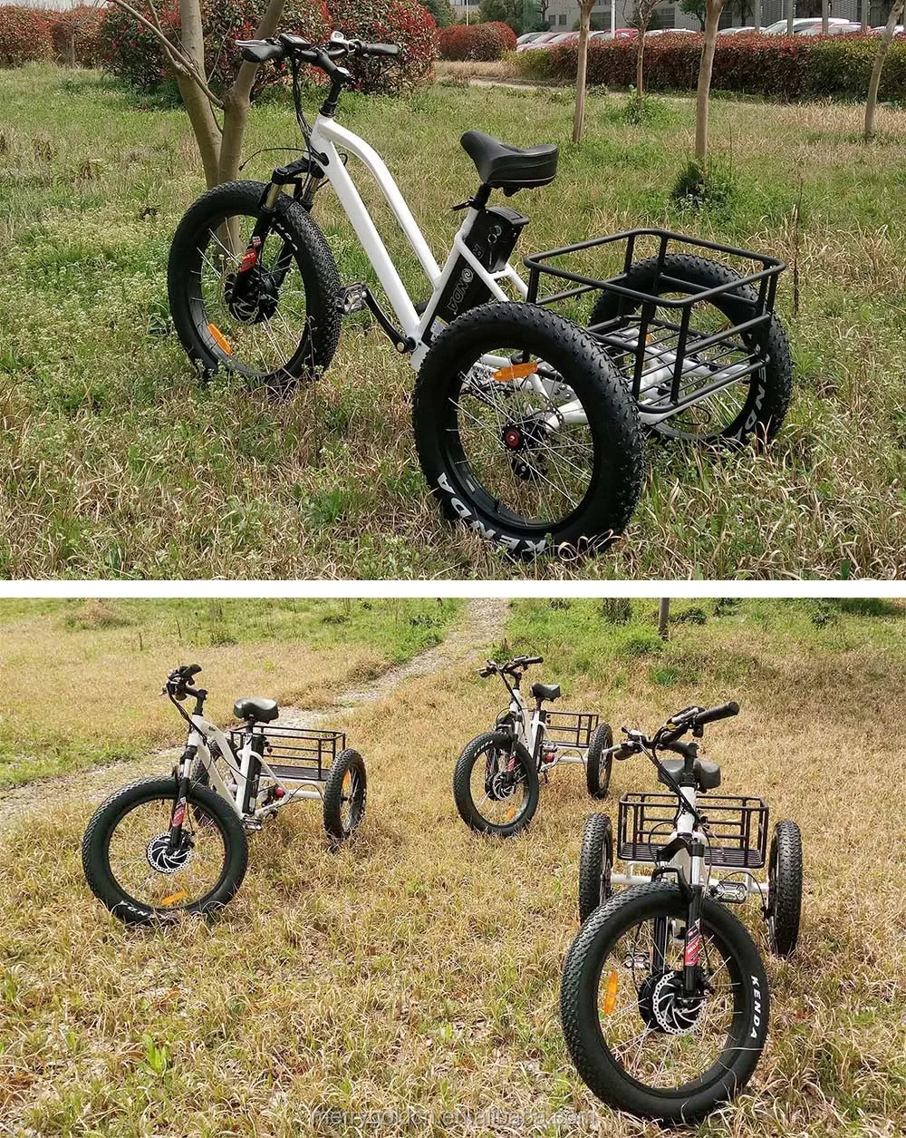 fat tire electric cargo bike