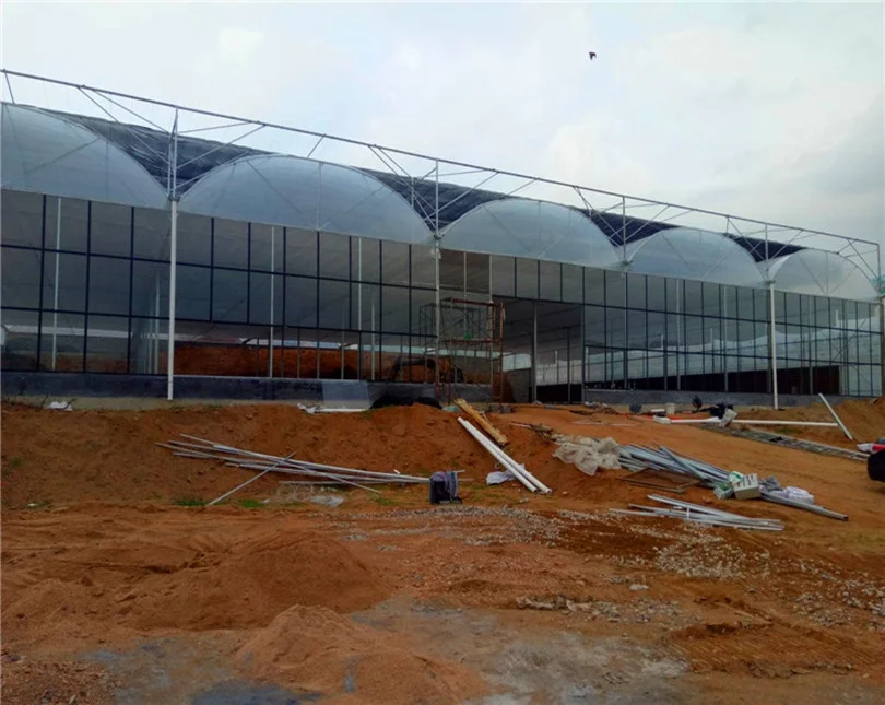 
easy installed Agricultural Plastic film Greenhouse project from China 