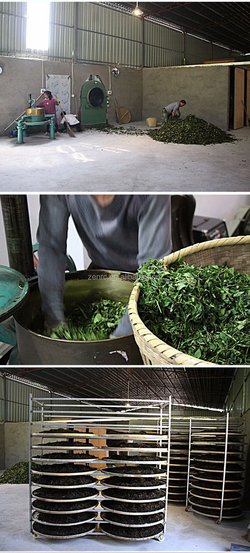 Wu Yi Rock Oolong Tea Da Hong Pao with Vacuum Package - 4uTea | 4uTea.com