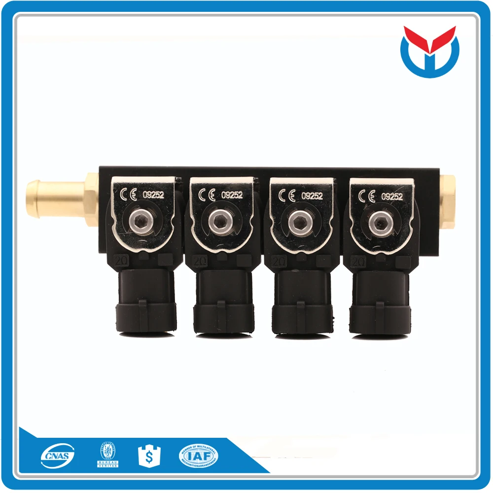 cng lpg injector (10)