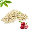 Bulk Best Quality and Price Pine Nuts Kernels from China