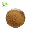 High Quality Hippophae rhamnoides extract./ Seabuckthorn extract