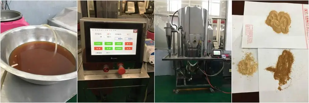 spray dryer process.jpg