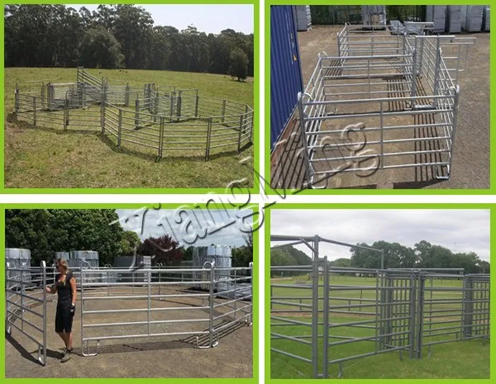 cattle panel sliding gate application.jpg