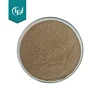 Natural Dietary Supplement Maitake Mushroom Extract