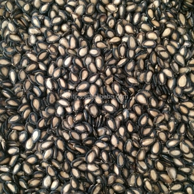 
Black Watermelon Seeds with good quality and best price 