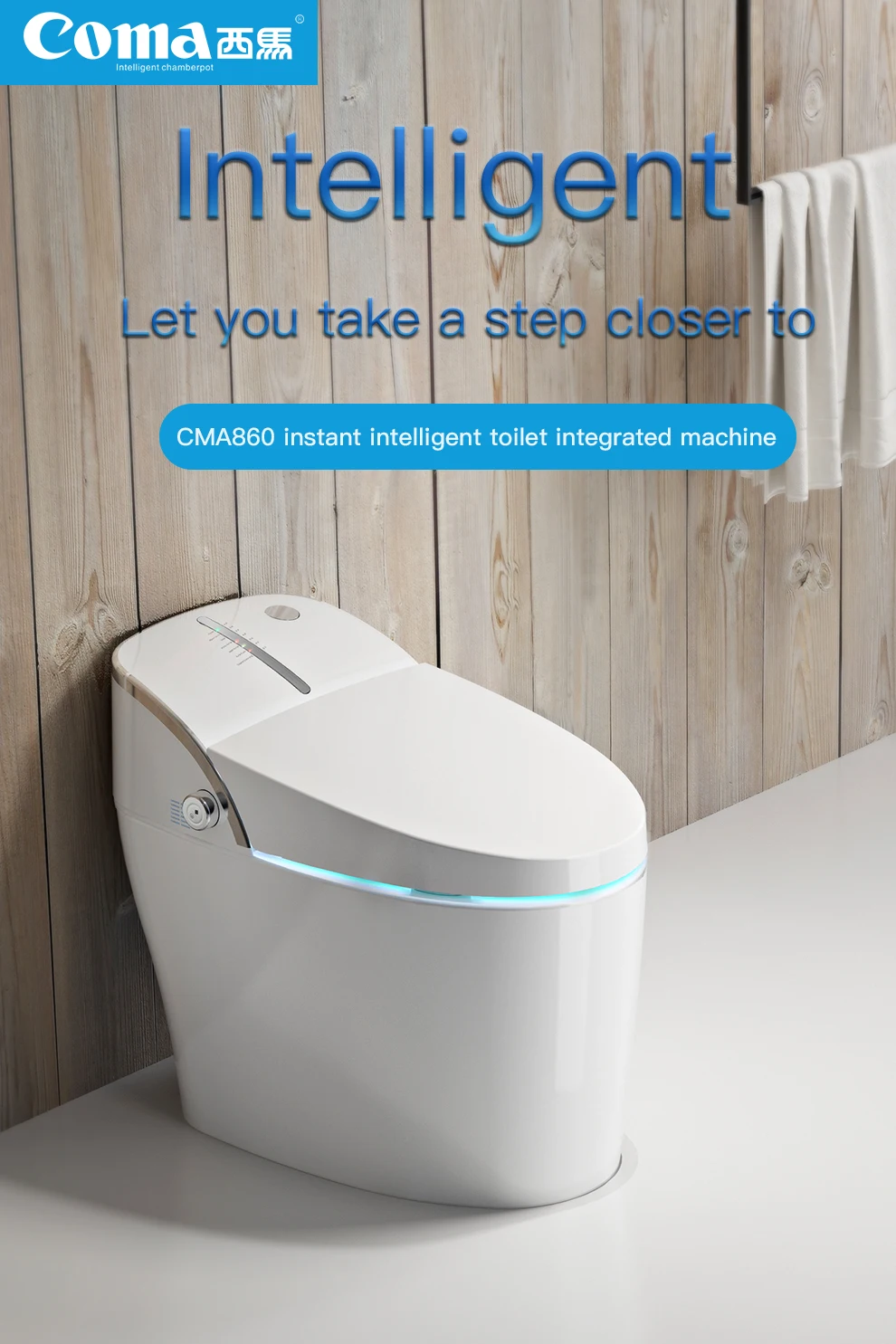 China Manufacturer Wholesale Cheap Price Style Smart Toilet