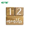 Perfect and Keepsake Solid Wood Milestone Age Blocks Baby Age Photo Blocks