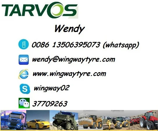 Wendy Wingway Tire