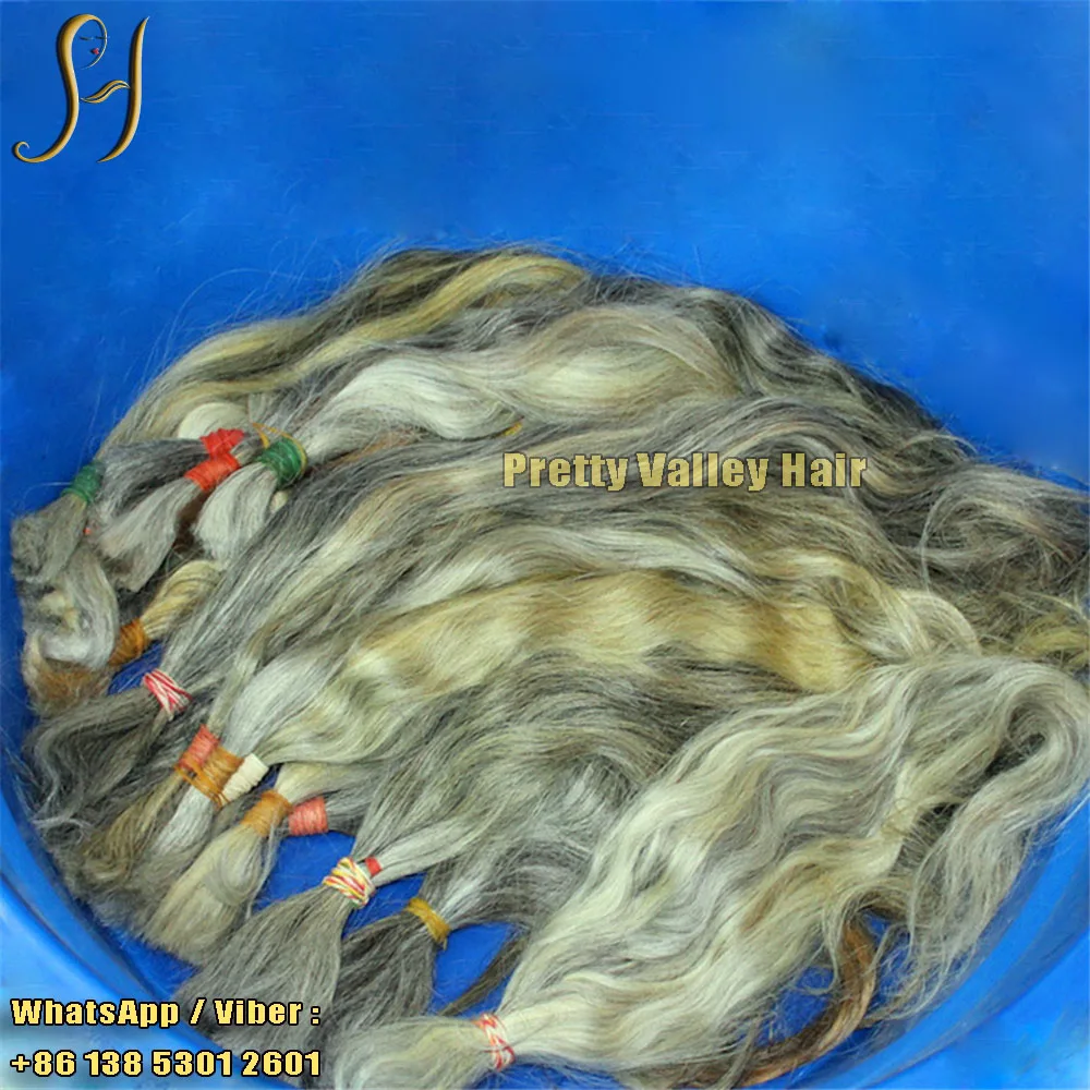 russian Grey hair 11 .jpg