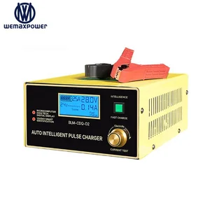 Automatic 12V 24V Lead Acid Battery Charger Pulse Repair