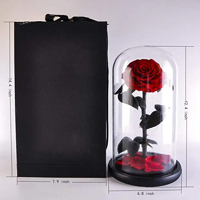 61DFJ%2BAlBJL._SX679_