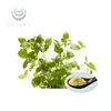 Companies looking for distributors melissa extract aweto extract