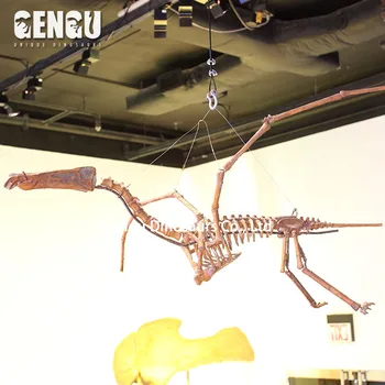 flying dinosaur skeleton