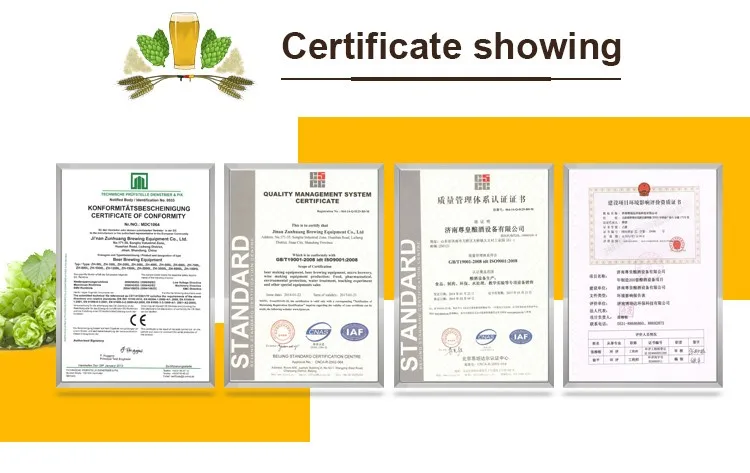 Jinan Shandong supplier brewing manufacturer type sea beer equipment