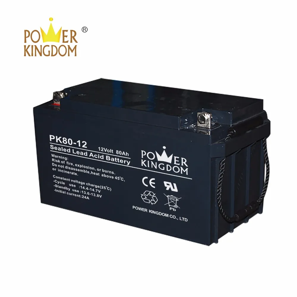 Power Kingdom agm deep cycle batteries for sale for business solar and wind power system-2