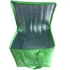 Factory Offer customized portable 420D polyester thermal insulated freezer bag
