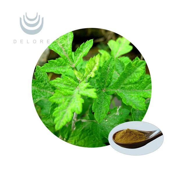 extract of artemisia argyi 100% natural low price