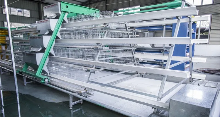 chicken layer cage automatic,chicken egg layer cages,design layer chicken cages