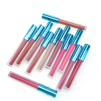 

12 Color Matte Your Own Logo Long Wearing Moisturizing Liquid Lipgloss