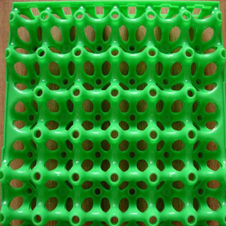 Cheap Bulb Type Chicken Egg Tray For Sale Buy Bulb Egg Tray,Cheap Egg