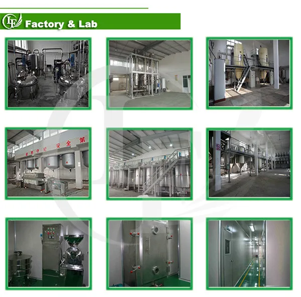 Manufacture Supplier Supply Bifidobacterium Longum