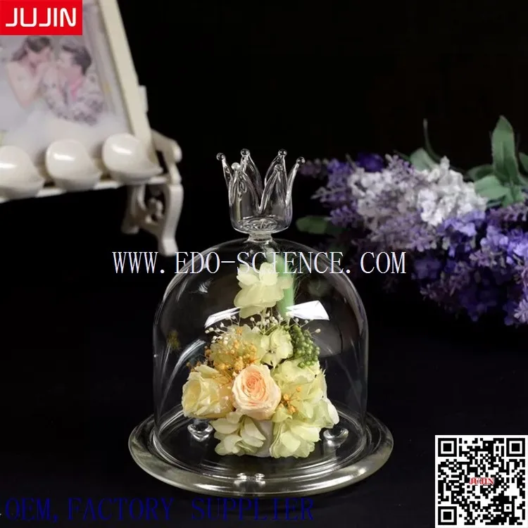 Glass Cover Decotration Glass Vase (23).jpg