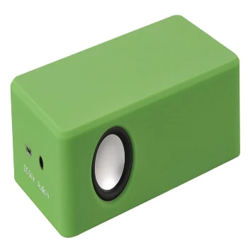 induction speaker (7).jpg