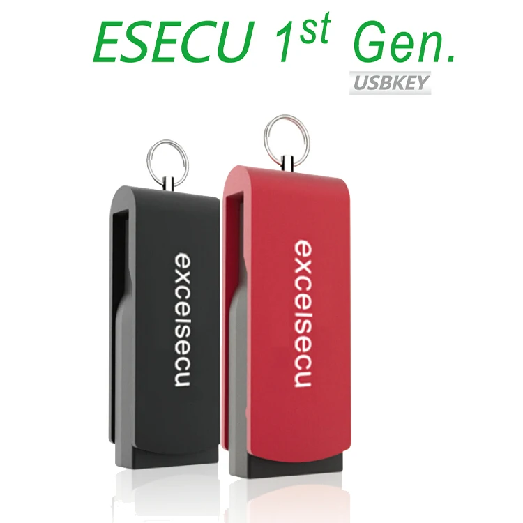 
ESECU Multi-lingual Computer Information Technology Services safety security token usbkey 