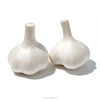 /product-detail/garlic-importers-in-usa-60842441052.html