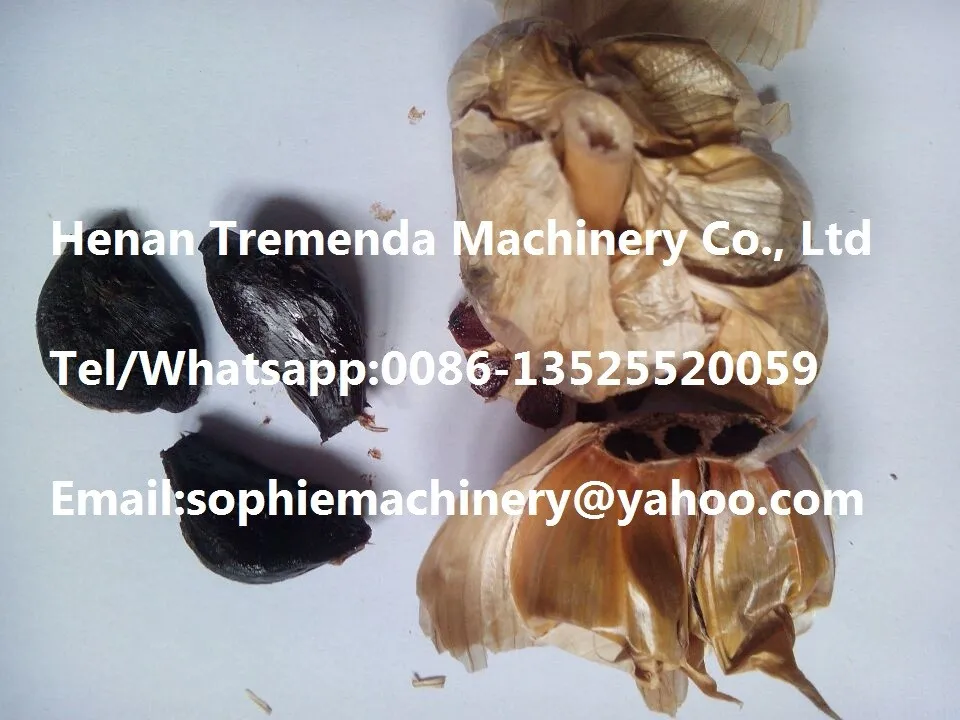 black garlic machine (20).jpg