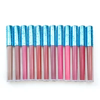 

New Arrival Custom Waterproof Matte Natural Lipgloss Private Label