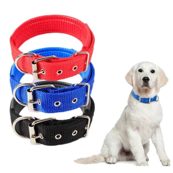big dog collars