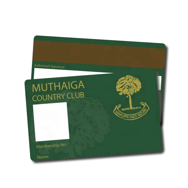 
Full Color CMYK Offset Printing Plastic/PVC Printable Card 