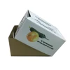 SEASONAL APPLE PAPER BOX PACKAGING , CARDBOARD APPLE BOX