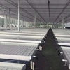2019 Factory Suuply Ebb and Flow Table hydroponics System Rolling Bench for greenhouse