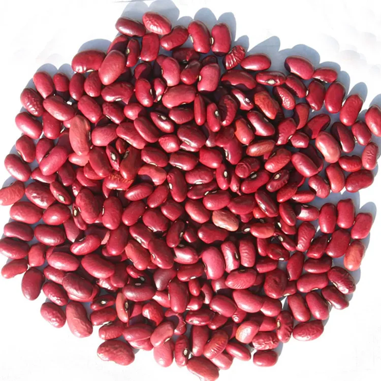 Red Dried Common Raw Kidney Beans Pinto Beans To Iran