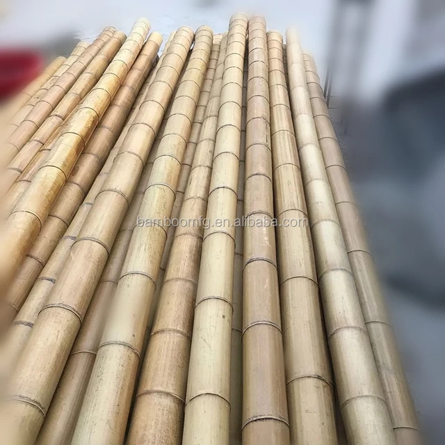 Large Tokin Bamboo Sticks For Decoration Moso Bamboo Buy Large