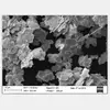 China New silver coated copper flakes/powder, Ag-Cu flakes
