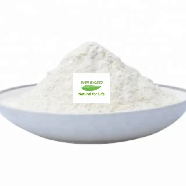 
High quality and competitive price vital wheat gluten bulk 