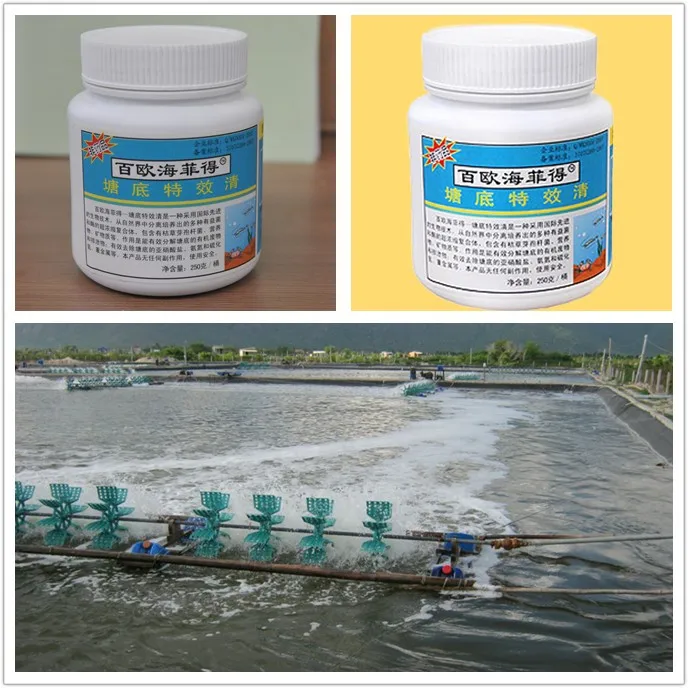healthy safe probiotics for shrimp / fish aquaculture probiotics with good quality.jpg