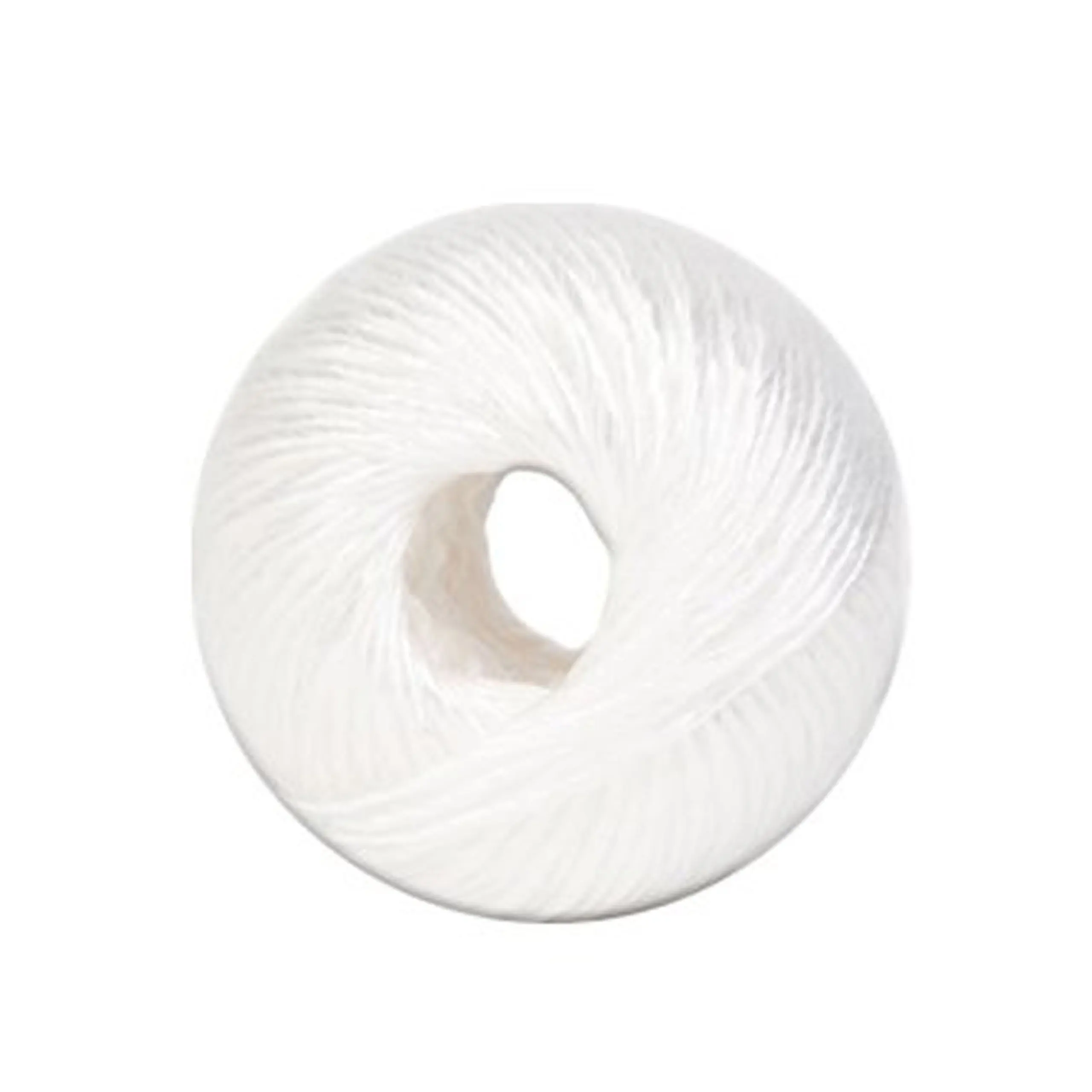 Buy Koch Industries 5460109 Sisal Twine 1 Ply X 2250 ft 