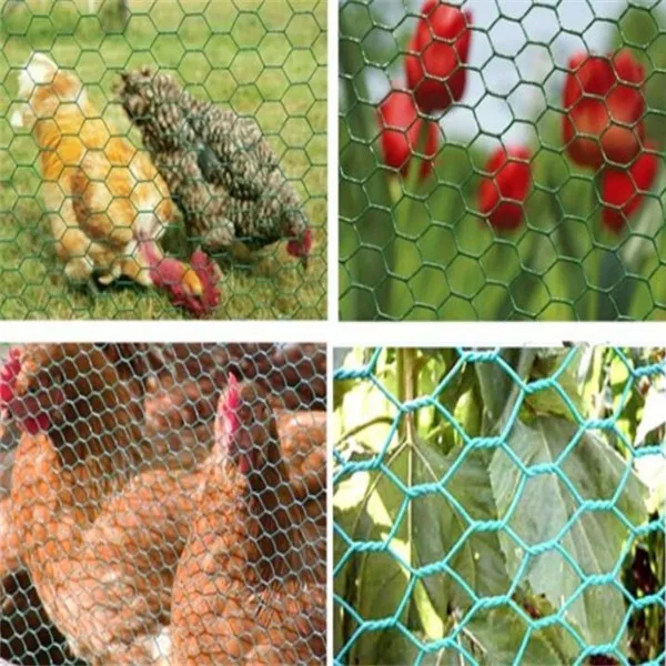 Cheap Hexagonal Chicken Wire Netting/poultry Hexagonal Wire Mesh 1/2