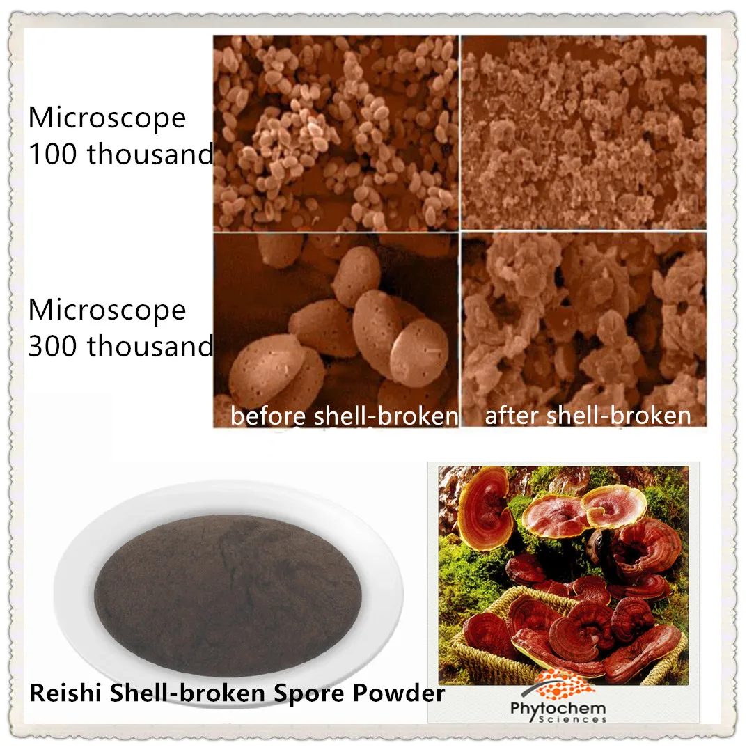 Insomnia Treatment.jpg